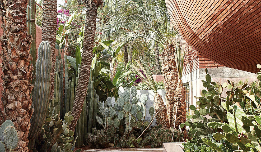 Yves Saint Laurent Museum, Marrakech.