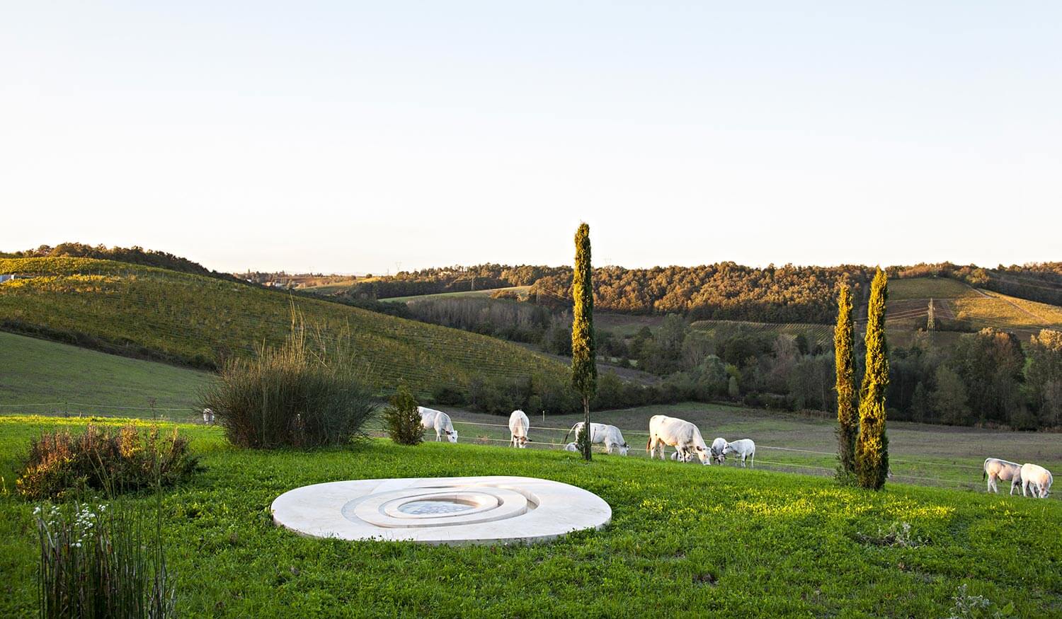 Locanda La Raia. The green residence on the Gavi hills where hospitality, excellent wine, and art interact in harmony with nature.