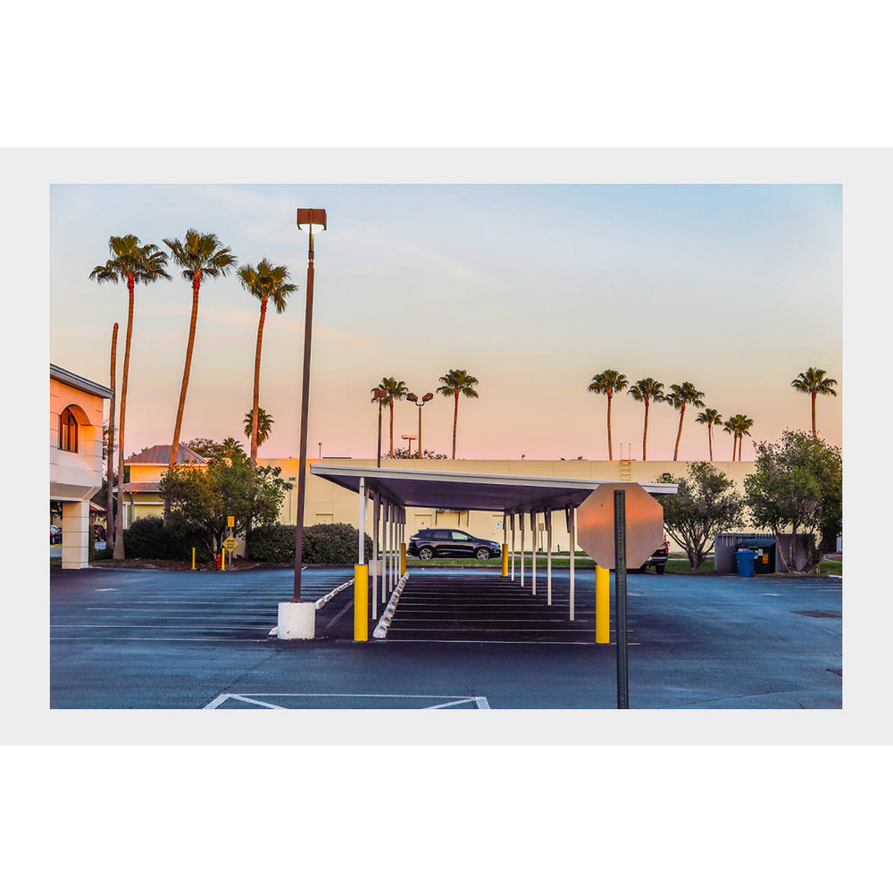 Car Port and Palm Trees