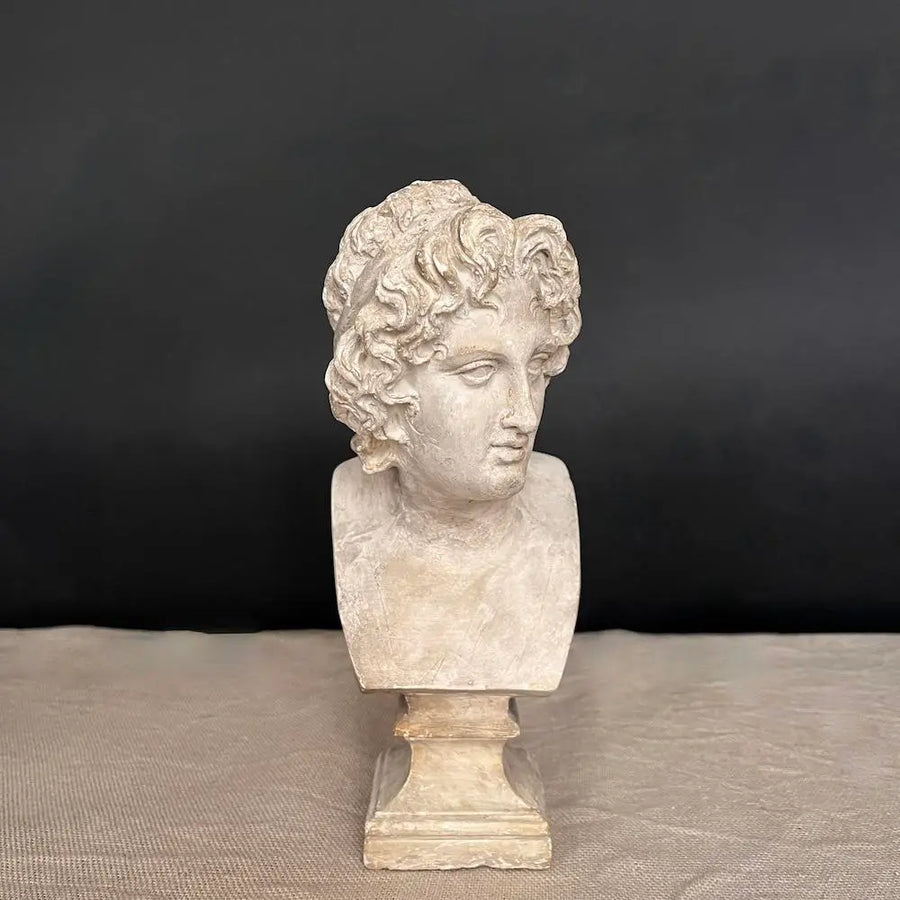 Alessandro Magno Bust - Ancient plaster bust on antique wood pedestal by Vintage Treasures - Fp Art Online