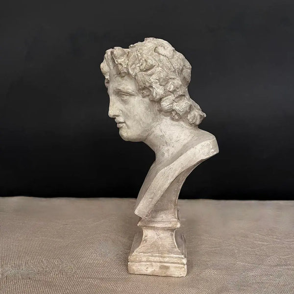 Alessandro Magno Bust