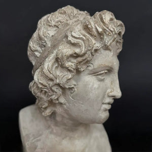 Alessandro Magno Bust