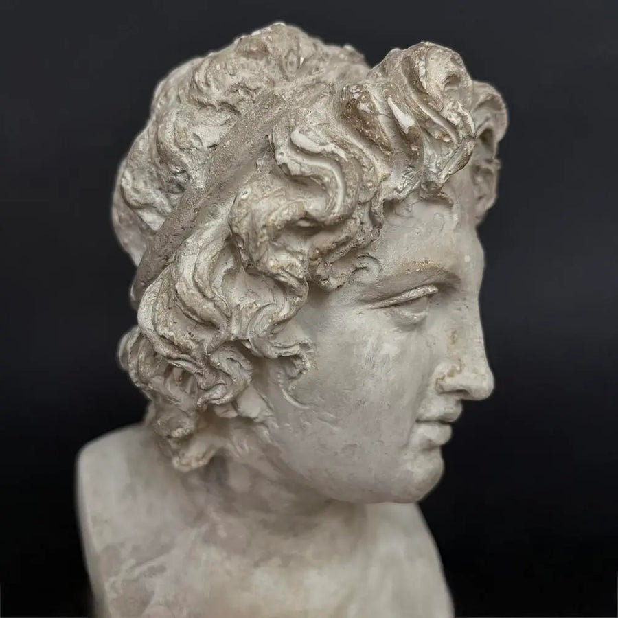 Alessandro Magno Bust - Ancient plaster bust on antique wood pedestal by Vintage Treasures - Fp Art Online