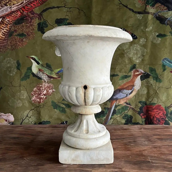 Antique Medici Urn Vase