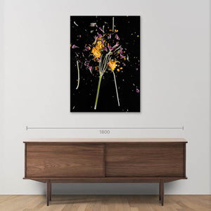 CrioFlowers, Delphiniumviola Ranuncolo by Bozzano Daniele - Fp Art Online