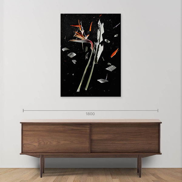 CrioFlowers, Strelitzia