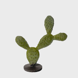 Small Cactus