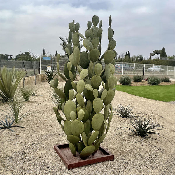 Extra Large Cactus