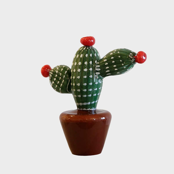 Cactus Small