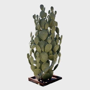 Extra Large Cactus