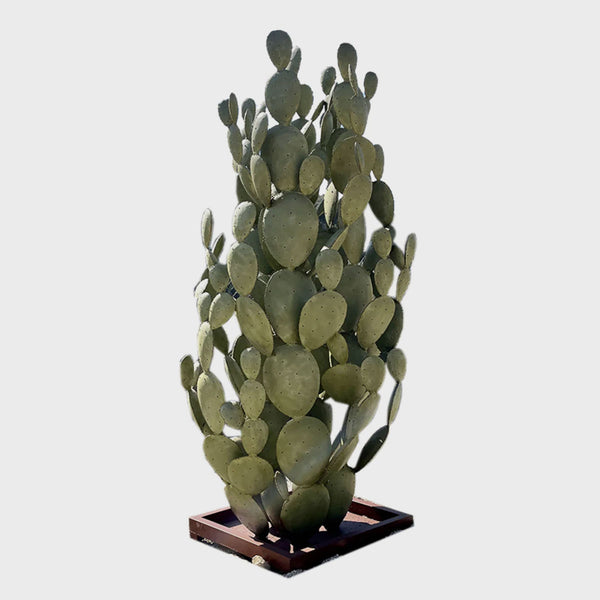 Extra Large Cactus