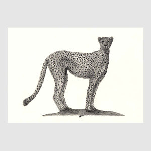 Savannah Animal Placemats