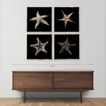 Wonderful Star, 4 panels by Diazzi Roberta - Fp Art Online