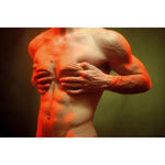 Emergency of Beauty - Lambda print on aluminium by Arena Francesco - Fp Art Online