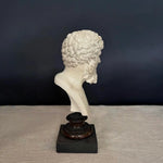 Lucio Vero Bust - Ancient plaster bust on antique wood pedestal by Vintage Treasures - Fp Art Online