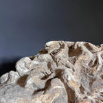 Medusa Head - Gypsum sculpture on pedestal by Vintage Treasures - Fp Art Online