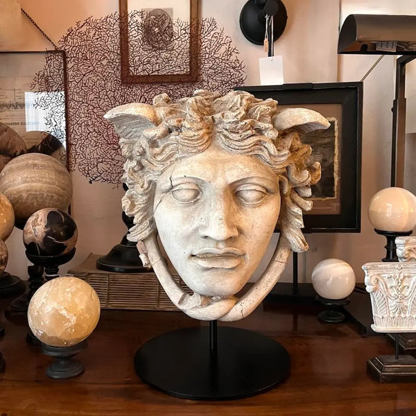 Medusa Head