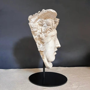 Medusa Head