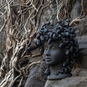 Medusa