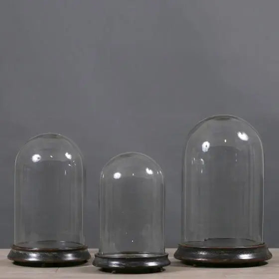 Mini Glass Cloche