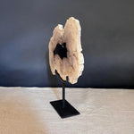 Petrified Wood Sections - Dated around 20 million years ago by Vintage Treasures - Fp Art Online