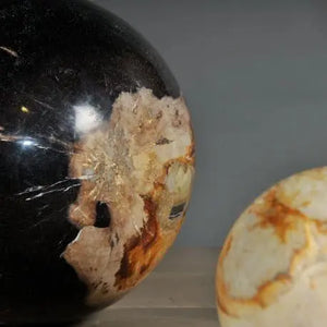 Petrified Wood Spheres