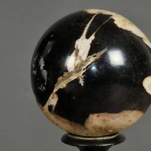 Petrified Wood Spheres