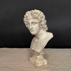 Alessandro Magno Bust