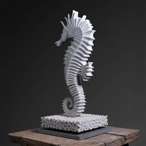 Seahorse White