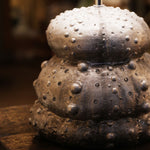 Sea Urchin Lamp - Resin base with grey cotton lamp shade by Fp Art Collection - Fp Art Online