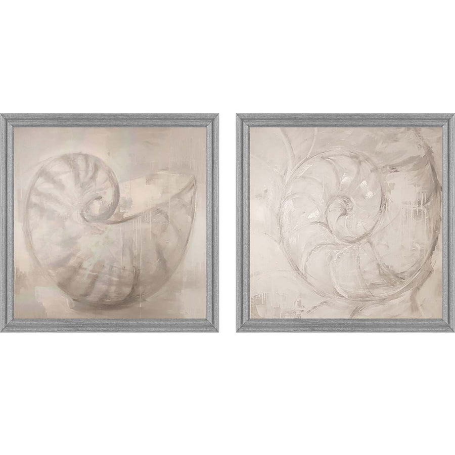 Shell Diptych - Framed acrylic on canvas by Fp Art Collection - Fp Art Online