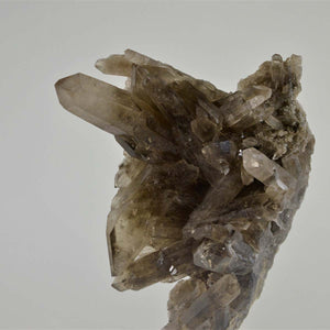 Natural Smoky Quartz - Mounted on satin bronze by Tincani Giuliano - Fp Art Online