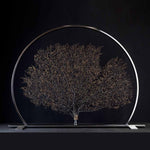 Arbre De La Vie - Black Gorgonia on a stainless steel frame by Maritime Objects - Fp Art Online