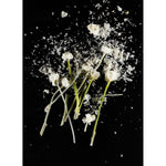 CrioFlowers, Ranuncolobianco by Bozzano Daniele - Fp Art Online