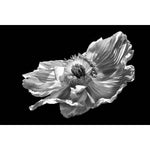 Poppy #1 by Pollini Gianluca - Fp Art Online