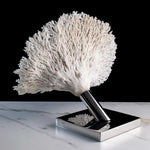 Table Blanche - Acropora Hyacintus" coral on a stainless steel frame by Maritime Objects - Fp Art Online