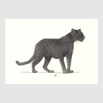 Savannah Animal Placemats 2 with waterproof print pencil drawing by Placemats - Fp Art Online