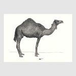 Savannah Animal Placemats 2 with waterproof print pencil drawing by Placemats - Fp Art Online