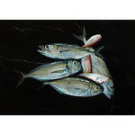 Fishes by Giraudo Riccardo - Fp Art Online