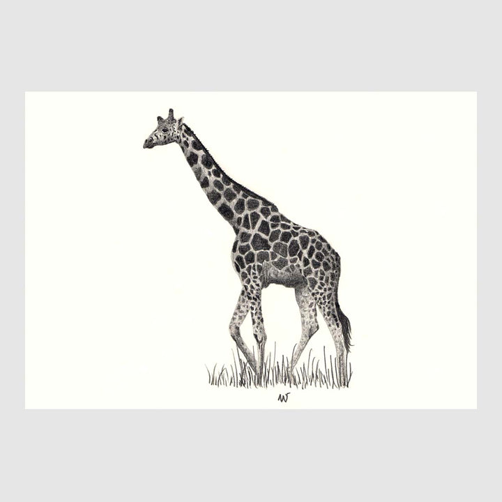 Savannah Animal Placemats by Placemats - Fp Art Online