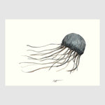 Jellyfish & Octopus Placemats with waterproof print pencil drawing by Placemats - Fp Art Online