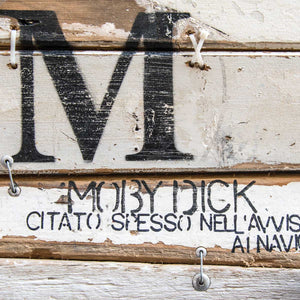 Moby Dick Citato Spesso nell'Avviso ai Naviganti