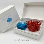 Coral - Handmade ceramic and glass room fragrance diffuser by Battista Emanuela - Fp Art Online