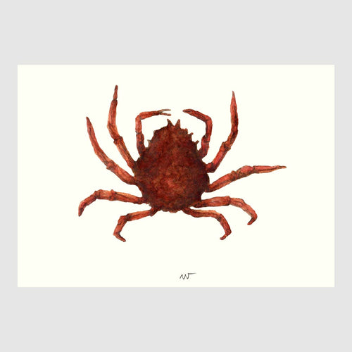 Spider Crab Placemats