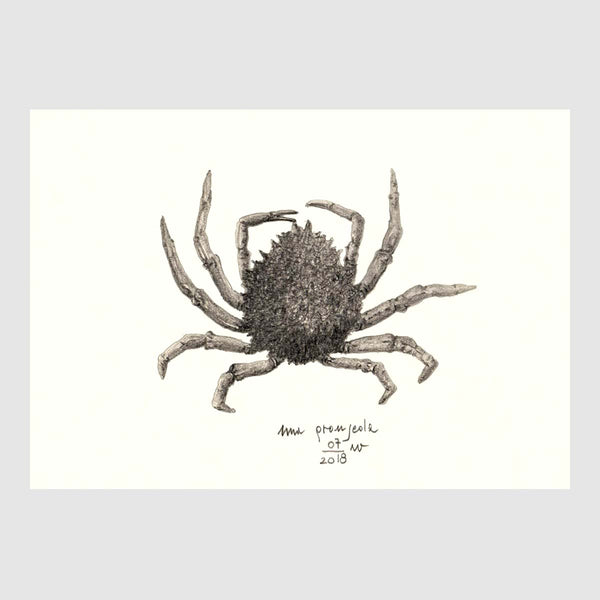 Spider Crab Placemats