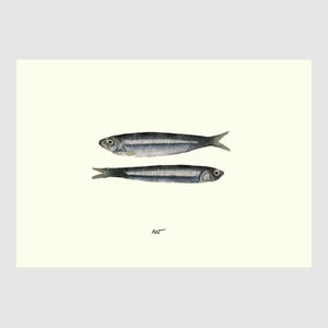 Anchovy Placemats with waterproof print pencil drawing by Placemats - Fp Art Online