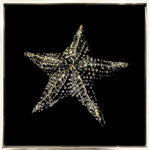 Wonderful Star (4 pieces) - 4800 Swarovski crystals on lucite acrylic paint by Diazzi Roberta - Fp Art Online